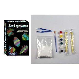 Set chimie - Modele de frunze